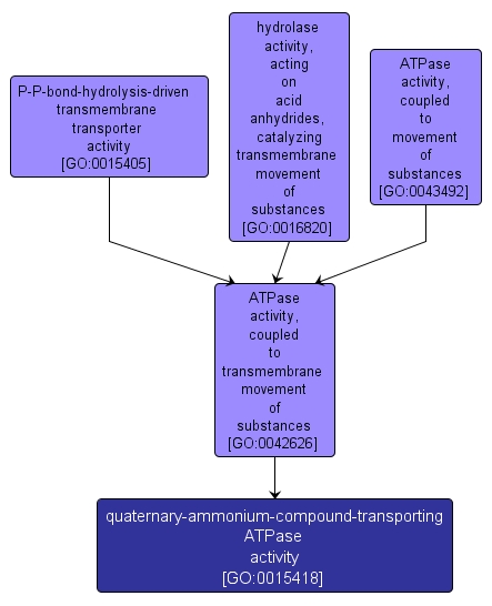 GO:0015418 - quaternary-ammonium-compound-transporting ATPase activity (interactive image map)