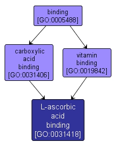 GO:0031418 - L-ascorbic acid binding (interactive image map)