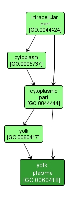 GO:0060418 - yolk plasma (interactive image map)