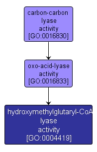 GO:0004419 - hydroxymethylglutaryl-CoA lyase activity (interactive image map)