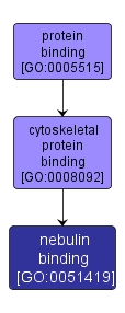GO:0051419 - nebulin binding (interactive image map)