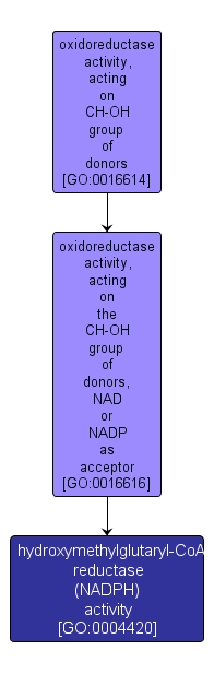 GO:0004420 - hydroxymethylglutaryl-CoA reductase (NADPH) activity (interactive image map)