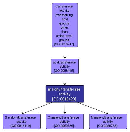 GO:0016420 - malonyltransferase activity (interactive image map)