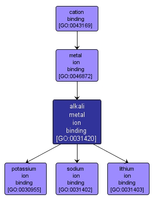 GO:0031420 - alkali metal ion binding (interactive image map)