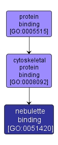 GO:0051420 - nebulette binding (interactive image map)