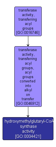 GO:0004421 - hydroxymethylglutaryl-CoA synthase activity (interactive image map)