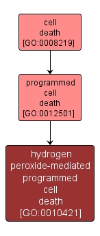 GO:0010421 - hydrogen peroxide-mediated programmed cell death (interactive image map)