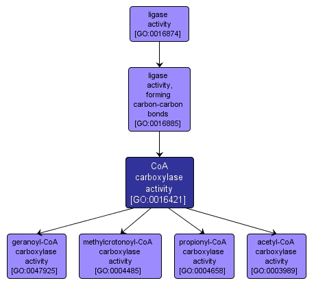 GO:0016421 - CoA carboxylase activity (interactive image map)