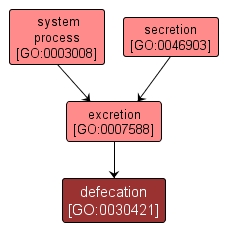 GO:0030421 - defecation (interactive image map)