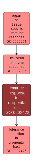 GO:0002422 - immune response in urogenital tract (interactive image map)
