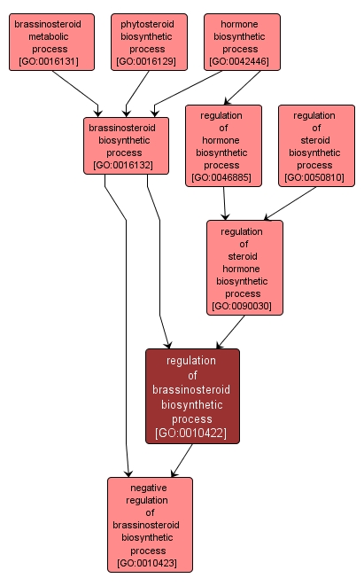 GO:0010422 - regulation of brassinosteroid biosynthetic process (interactive image map)