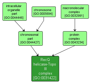 GO:0031422 - RecQ helicase-Topo III complex (interactive image map)