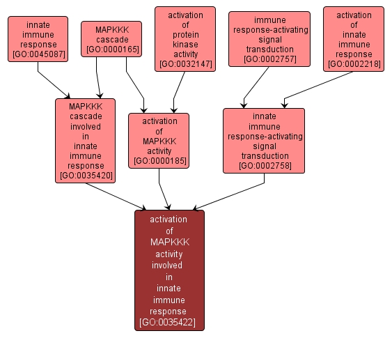 GO:0035422 - activation of MAPKKK activity involved in innate immune response (interactive image map)