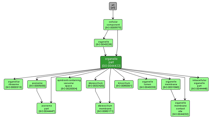 GO:0044422 - organelle part (interactive image map)