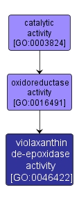 GO:0046422 - violaxanthin de-epoxidase activity (interactive image map)