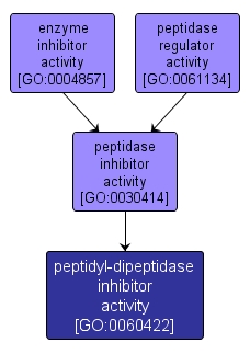 GO:0060422 - peptidyl-dipeptidase inhibitor activity (interactive image map)