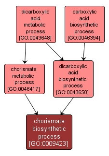 GO:0009423 - chorismate biosynthetic process (interactive image map)
