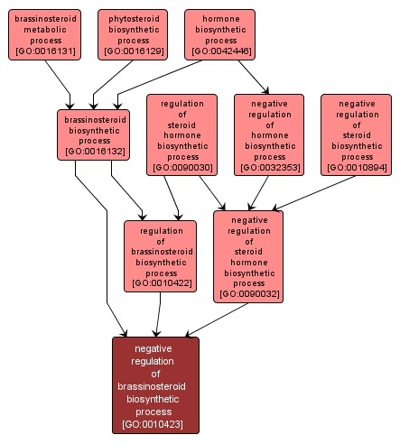 GO:0010423 - negative regulation of brassinosteroid biosynthetic process (interactive image map)