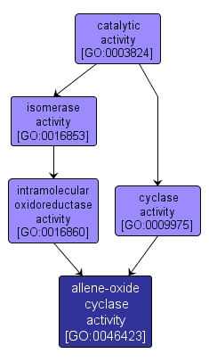 GO:0046423 - allene-oxide cyclase activity (interactive image map)