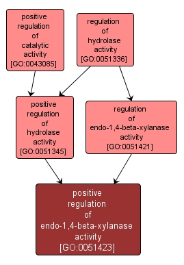 GO:0051423 - positive regulation of endo-1,4-beta-xylanase activity (interactive image map)