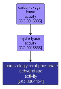 GO:0004424 - imidazoleglycerol-phosphate dehydratase activity (interactive image map)