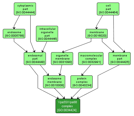 GO:0034424 - Vps55/Vps68 complex (interactive image map)