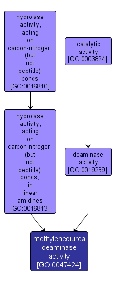 GO:0047424 - methylenediurea deaminase activity (interactive image map)