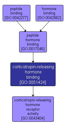 GO:0051424 - corticotropin-releasing hormone binding (interactive image map)