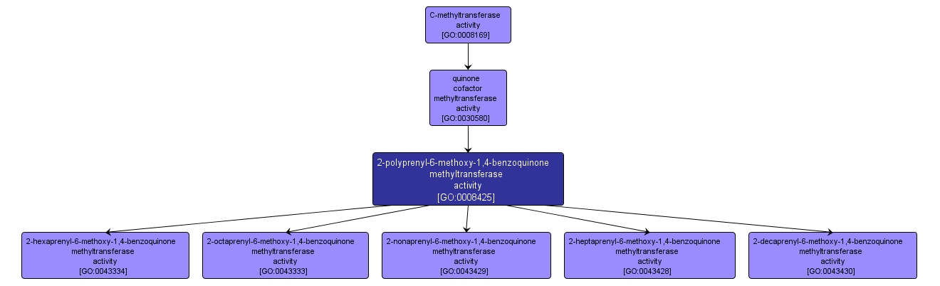 GO:0008425 - 2-polyprenyl-6-methoxy-1,4-benzoquinone methyltransferase activity (interactive image map)