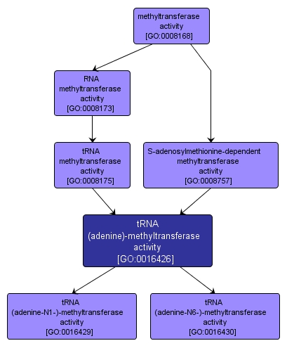 GO:0016426 - tRNA (adenine)-methyltransferase activity (interactive image map)