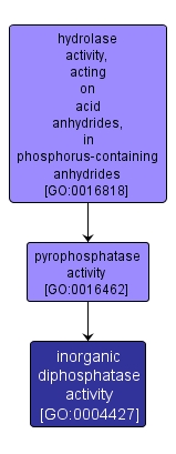 GO:0004427 - inorganic diphosphatase activity (interactive image map)