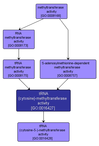 GO:0016427 - tRNA (cytosine)-methyltransferase activity (interactive image map)