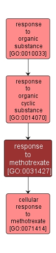 GO:0031427 - response to methotrexate (interactive image map)