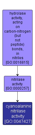 GO:0047427 - cyanoalanine nitrilase activity (interactive image map)