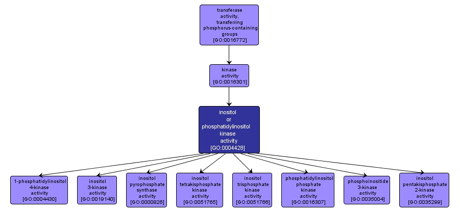 GO:0004428 - inositol or phosphatidylinositol kinase activity (interactive image map)