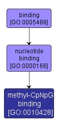 GO:0010428 - methyl-CpNpG binding (interactive image map)