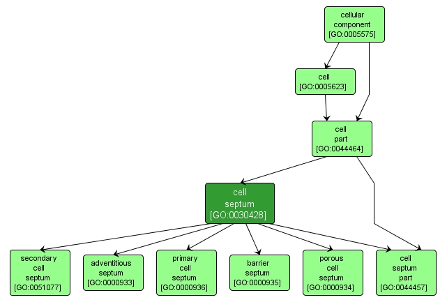 GO:0030428 - cell septum (interactive image map)