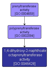 GO:0046428 - 1,4-dihydroxy-2-naphthoate octaprenyltransferase activity (interactive image map)