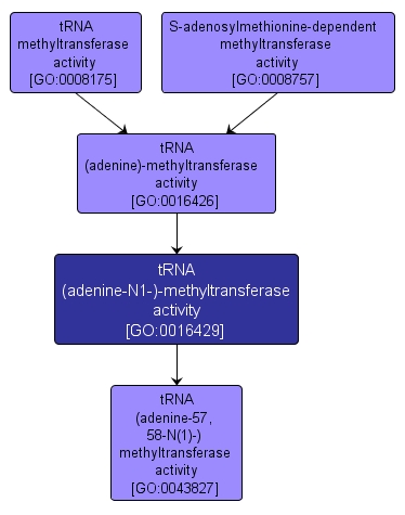 GO:0016429 - tRNA (adenine-N1-)-methyltransferase activity (interactive image map)