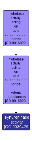 GO:0030429 - kynureninase activity (interactive image map)