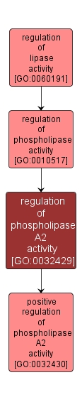 GO:0032429 - regulation of phospholipase A2 activity (interactive image map)