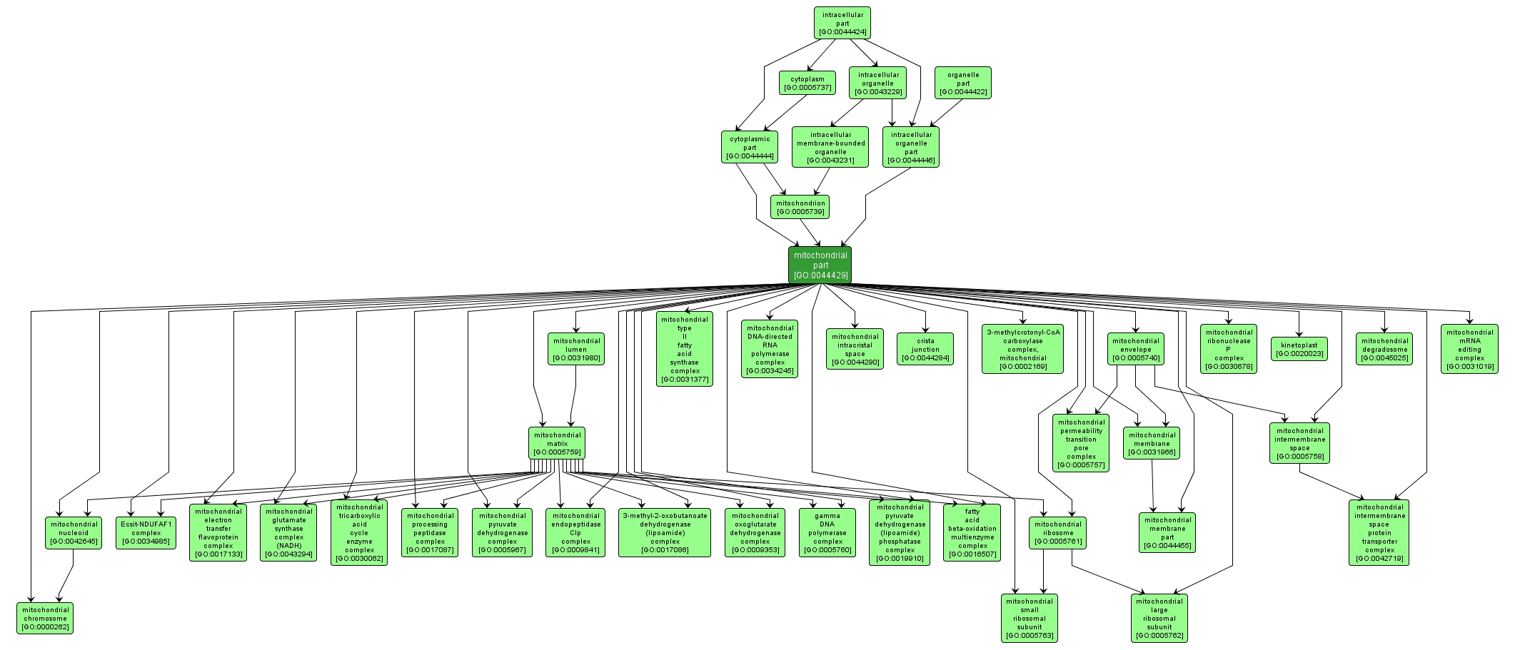 GO:0044429 - mitochondrial part (interactive image map)