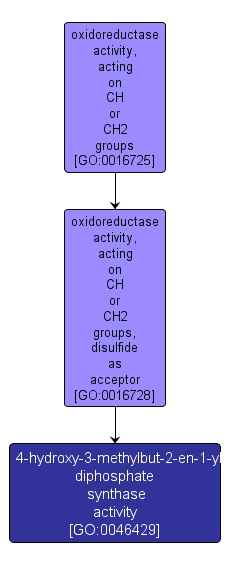 GO:0046429 - 4-hydroxy-3-methylbut-2-en-1-yl diphosphate synthase activity (interactive image map)