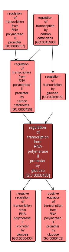 GO:0000430 - regulation of transcription from RNA polymerase II promoter by glucose (interactive image map)