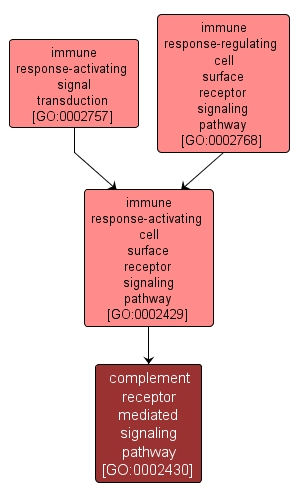 GO:0002430 - complement receptor mediated signaling pathway (interactive image map)