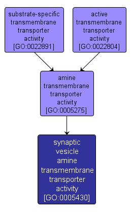 GO:0005430 - synaptic vesicle amine transmembrane transporter activity (interactive image map)