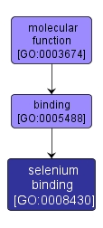 GO:0008430 - selenium binding (interactive image map)