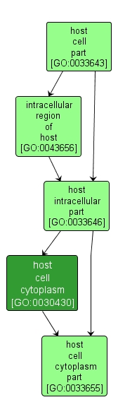 GO:0030430 - host cell cytoplasm (interactive image map)