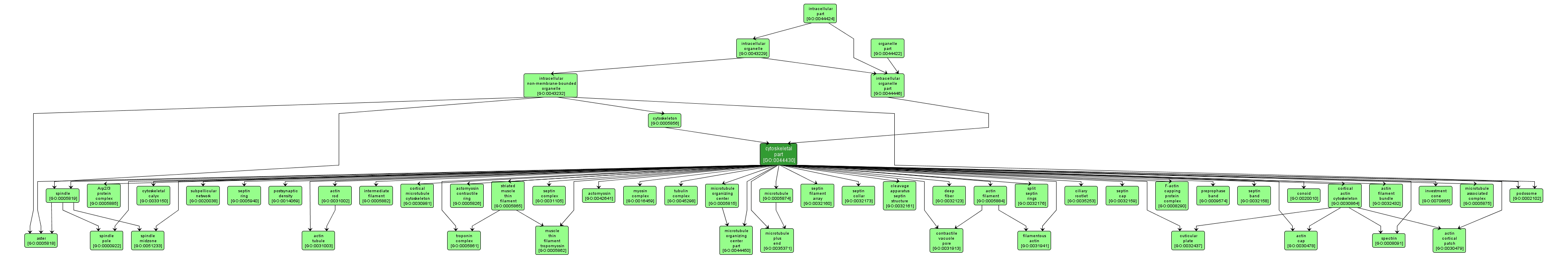 GO:0044430 - cytoskeletal part (interactive image map)