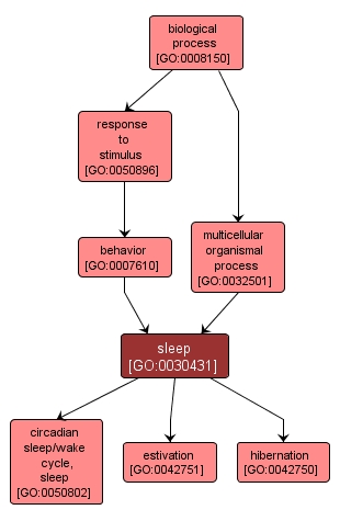 GO:0030431 - sleep (interactive image map)